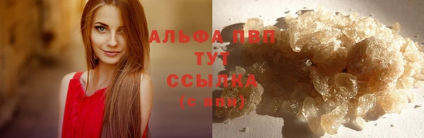 сатива Абинск