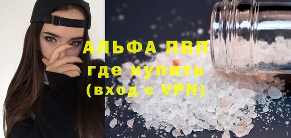 сатива Абинск