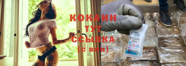 сатива Абинск