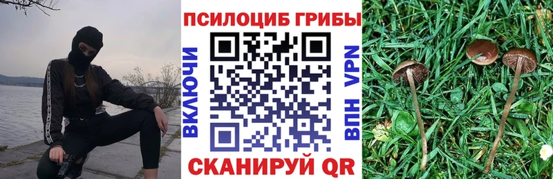 Псилоцибиновые грибы мицелий  купить  цена  Кашира 